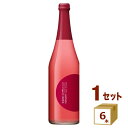 数量限定 ニッカ ジャパンシードル JAPAN CIDRE 2023 リンゴ お酒 720ml×6本【送料無料※一部地域は除く】