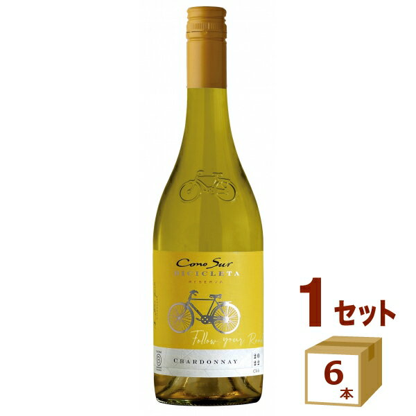 コノスル シャルドネ ビシクレタ レゼルバ 白ワイン チリ 750ml×6本【送料無料※一部地域は除く】