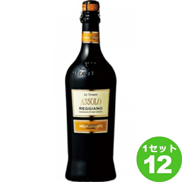 アッソーロ レッジアーノ フリッツァンテ ロッソ セッコ 750ml ×12本 イタリア/エミリア ロマーニャ/レッジアーノ/ ワイン Assolo Reggiano Vino Frizzante Rosso Secco