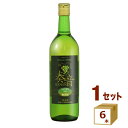 信濃ワイン 奏音 かのん 辛口 白 ナイアガラ 酸化防止剤無添加 日本ワイン 塩尻ワイン 桔梗ヶ原 720ml×6本【送料無料※一部地域は除く】