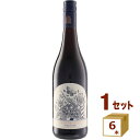 クライン オランジェリー ピノタージュ 赤ワイン 瓶 南アフリカ ブティノ SA 750ml×6本【送料無料※一部地域は除く】