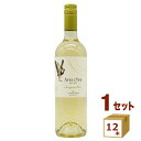 デル スール ソーヴィニヨンブラン 白ワイン チリ 辛口 ビーニャ デル ペドリガル 750ml×12本【送料無料※一部地域は除く】