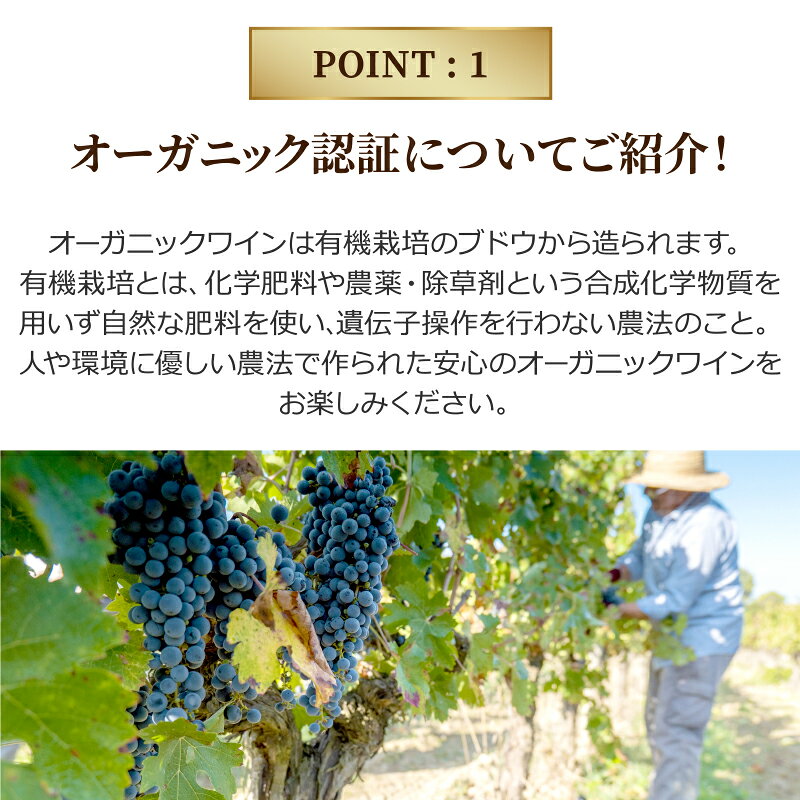 【ソムリエ厳選】全て オーガニックワイン 赤 ロゼ 白 スパークリング ワイン 6本 飲み比べ【送料無料※一部地域は除く】オーストラリア フランス バラエティスペイン カスティーリャ イタリア チリ 有機栽培 オーガニック 赤ワイン 金賞 izmic-ec02-10109259 イエノミストbyイズミックワールド サンプル画像3