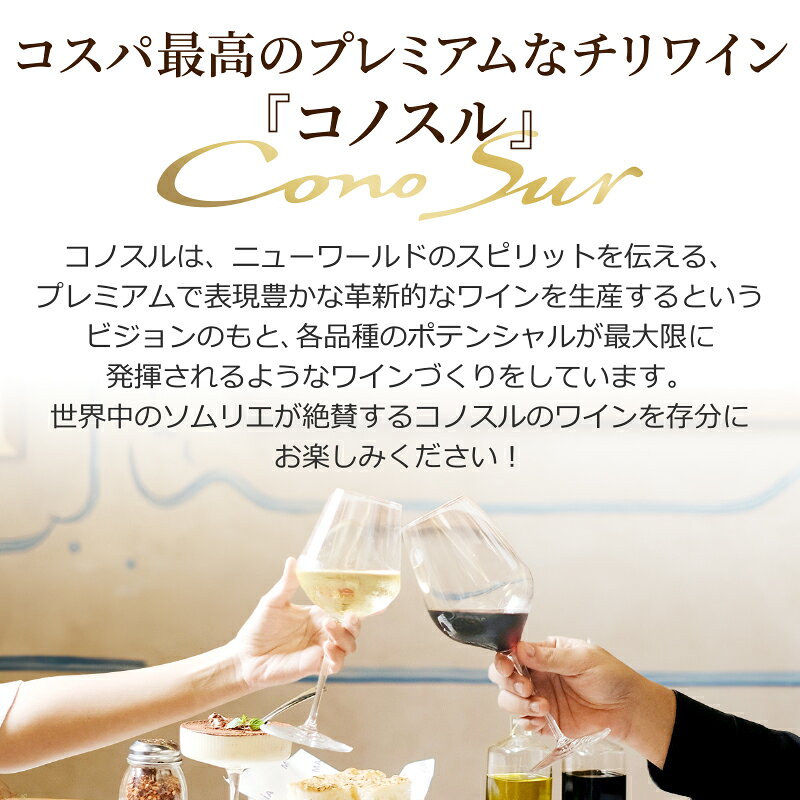 コノスル ビシクレタ 選べる 10本 飲み比べ 赤ワイン 白ワイン ロゼワイン チリ 750ml×10本【送料無料※一部地域は除く】 Cono Sur　シャルドネ ピノノワール メルロー シラー マルベック カベルネソーヴィニヨン ゲヴェルツトラミネール ヴィオニエ ソーヴィニヨンブラン izmic-ec02-10110807 イエノミストbyイズミックワールド サンプル画像2
