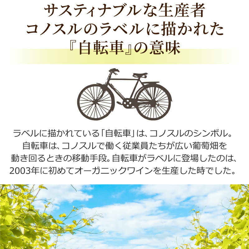 �ǰ�ĩ�� ���Υ��� �ӥ����쥿 ���٤� 12�� ������� �֥磻�� ��磻�� �����磻�� ���� 750ml��12�ܡ�����̵���������ϰ�Ͻ����� Cono Sur �����ɥ� �ԥΥΥ�� ������ ���顼 �ޥ�٥å� ���٥�ͥ��������˥�� ��������ĥȥ�ߥ͡���