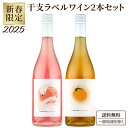 訳あり 季節商品のため 干支 自然派 ワイン 飲み比べ 新春 セット 750ml×2本 ワビサビ ロゼ 巳年 wabisabi rose nr#1 自然派 新年...