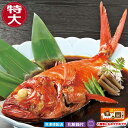 【徳造丸 金目鯛姿煮 特大 伊豆近海産】 体長約40cm 4〜6人前 調理済 真空パック お歳暮 敬老の日 プレゼント 贈り物 ギフト 御祝 内祝 御礼
