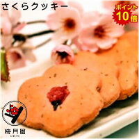 ポイント10倍 さくらクッキー2袋 ワンダフルデー 手土産 御礼 御挨拶 贈答品 進物 お返し お祝い 内祝い 祝儀 引き出物 引き菓子 快気祝い 桜花 桜葉 ピンク色 桜の形 梅月園 伊豆松崎 洋菓子