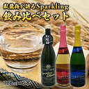 臥龍梅 Garyubai Sparkling 3種飲み比べセット 720mL×3本