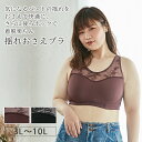 【30%OFFクーポン！2/4 20:00～2/10 01:59】【3L～10L】揺れおさえブラ（ブラック/レッドブラウン） スポーツブラ 揺れおさえ スポブラ レディース 揺れない 大きいサイズ ノンワイヤー ブラトップ 3L 4L 5L 6L 8L 10L プラスサイズ ヨガ 運動 吸水 ランニング