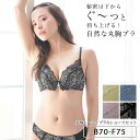 丸胸レーシィ ブラ＆ショーツセットブラジャー 下着 レディース 女性 ブラジャー ショーツ セット ワイヤーブラ ランジェリー ブラショーツ 谷間 ブラ バストアップブラ ビューティープリンセス