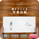 20Celebration-B 写真台紙 ジャケットサイズ 親子でつくる アルバム 成人 二十歳 20歳 フォト 写真 六つ切り 6切 2L デザイン写真台紙 ...