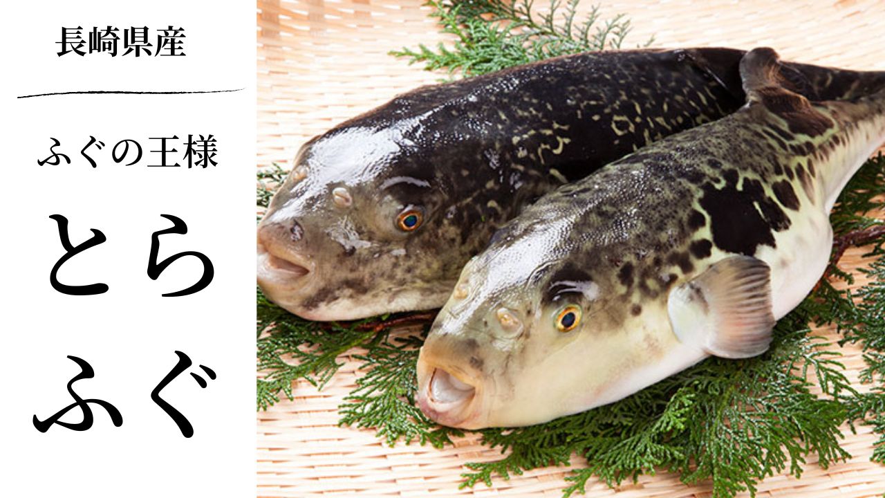 長崎県産 とらふぐ鍋 （てっちり） 4人前 なべ用とらふぐ身・あら 冷蔵