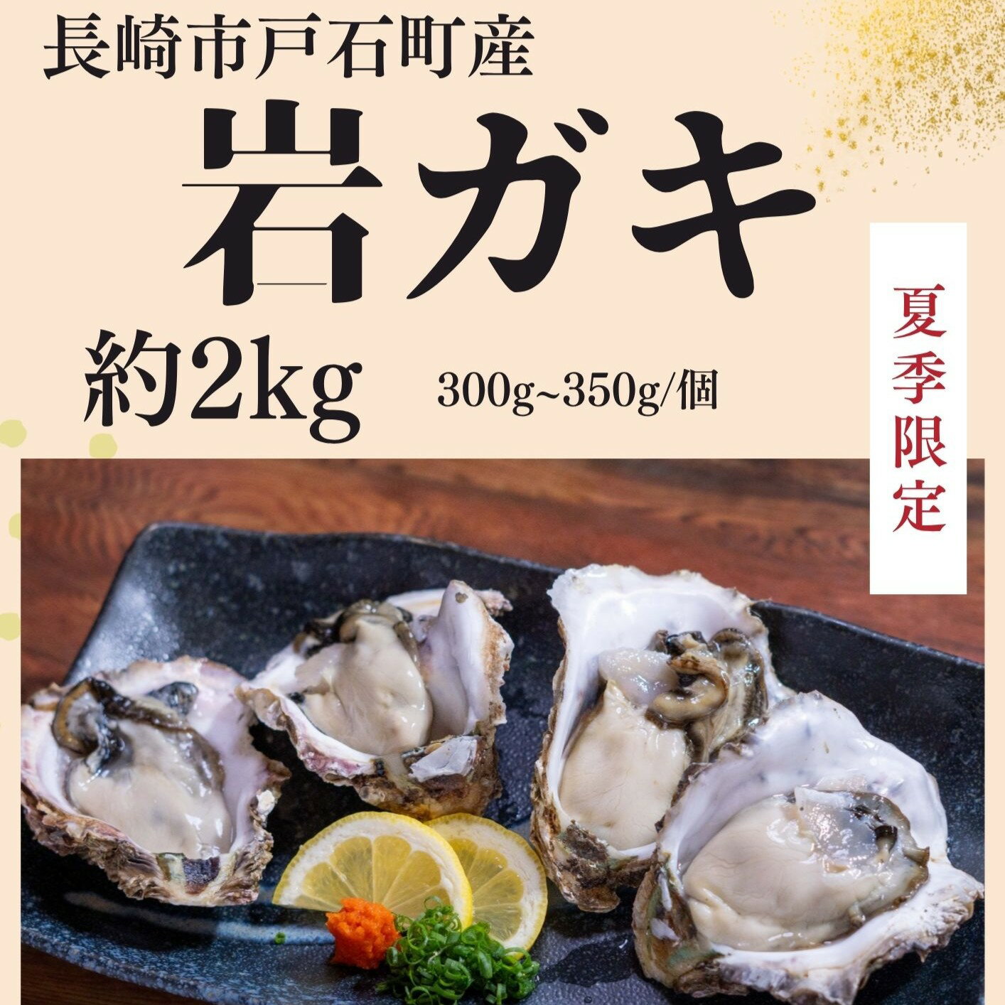 長崎県産 岩ガキ 約2kg