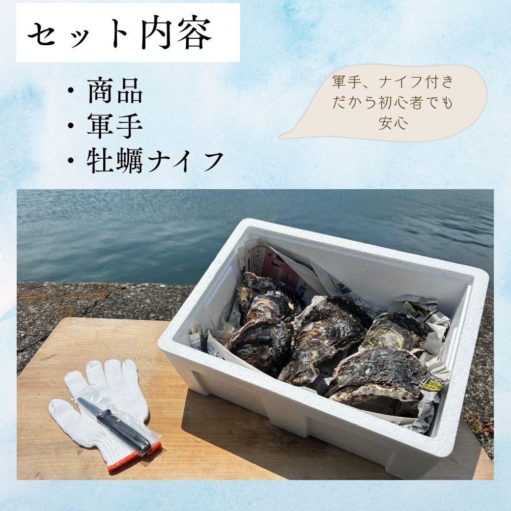 夏季限定 長崎県産 生食用プレミアム岩ガキ 約6kg （サイズ小さめ） 冷蔵 izumien2000-10000012 ふぐ料理和泉苑 楽天市場店 サンプル画像3