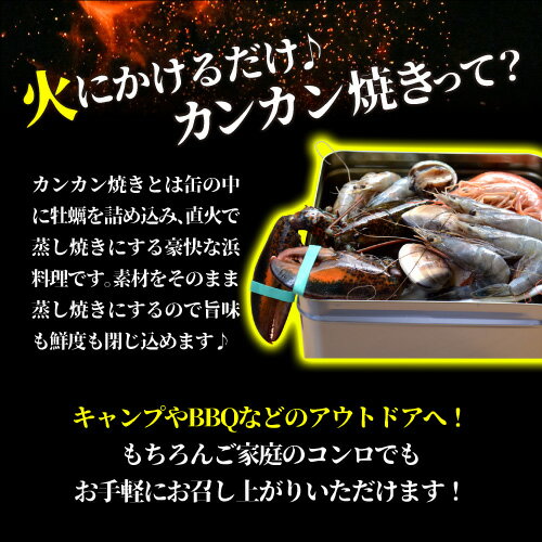 [最大200円OFFクーポン]送料無料 海老バルorb オマール海老(350g)入り 豪華海鮮カンカン焼きセット(2人前) BBQ キャンプ アウトドア 海老 エビ 赤海老 天使の海老 ブラックタイガー はまぐり アワビ クール代込 産地直送 orb (産直)