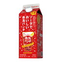 【訳あり】【商品入れ替えの為】サントリー ソーダでおいしい赤玉パンチ パック 500ml Alc.16% ARPCP アウトレット クリアランス