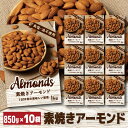 【ケース販売】素焼き