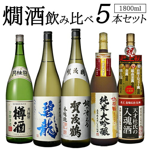 送料無料 バイヤー厳選 燗酒 5本 飲