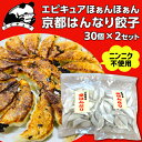 送料無料 エピキュアほぁんほぁん 京都はんなり餃子 30個×2セット 計60個 餃子 京都 お取り寄せ ほぁんほぁん 関西 グルメ クール代込 kyotopi (産直)