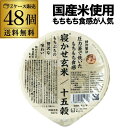 【2ケース買いが更にお得】結わえる寝かせ玄米 十五穀ブレンド 160g×48食 玄米 十五穀 雑穀 レトルト 防災 備蓄 RSL