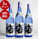 【ポイント10倍★7/4 20時〜7/11 1:59まで】【送料無料】 海 3本セット 1.8L ギフト プレゼント 母の日 父の日