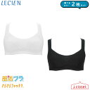 【取寄せC】【選べるカラー 2枚セット】ルシアン 部活ブラ さらさらシャッキリ ハーフトップ 16601 2カラー S/M/L/LL 快適安心設計でズレにくく揺...