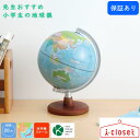 【取寄せ】レイメイ藤井 先生おすすめ小学生の地球儀 行政タイプ OYV11 地図帳に合わせた小学生のための地球儀 専用化粧箱入りです お子様へのプレゼントにもお...