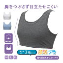 【取寄せC】【選べるカラー3枚セット】ルシアン 部活ブラ 胸を目立たせたくない人のブラ バストの突出をおさえてボリュームを上下に逃がす設計 着心地ラク 肌あたり...