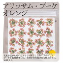 バレンタイン トッピング ドライエディブルフラワー【アリッサム・ブーケ】 オレンジ 乾燥押し花 20枚 食用花 送料無料 製菓材料 ケーキ スイーツ アイシング...