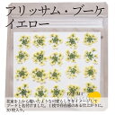 バレンタイン トッピング ドライエディブルフラワー【アリッサム・ブーケ】 イエロー 乾燥押し花 20枚 食用花 送料無料 製菓材料 ケーキ スイーツ アイシング...