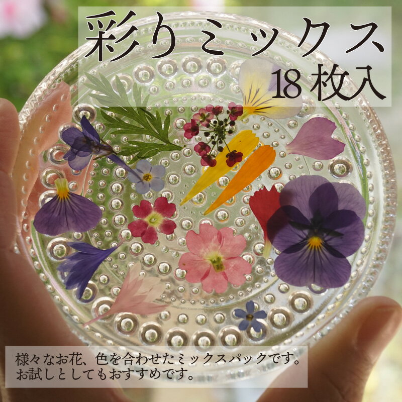 エディブルフラワー IZUMIYAMASAKI 彩り ミックス 食用 乾燥押し花 18枚 自然栽培