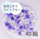 エディブルフラワー ビオラ ライトブルー 40輪 食用花 デコレーション 推しカラートッピング 製菓材料 ケーキ スイーツ 国産 クリスマス 焼き菓子 プレゼン...