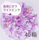 エディブルフラワー ビオラ ライトピンク 40輪 食用花 デコレーション 推しカラートッピング 製菓材料 ケーキ スイーツ 国産 クリスマス 焼き菓子 プレゼン...