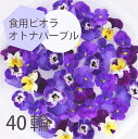 エディブルフラワー ビオラ オトナパープル 40輪 食用花 デコレーション 推しカラートッピング 製菓材料 ケーキ スイーツ 国産 クリスマス 焼き菓子 プレゼ...