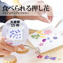 ドライ エディブルフラワー【矢車菊 青15枚 】 乾燥食用花 デコレーション トッピング 製菓材料 ケーキ スイーツ アイシングクッキー マカロン 国産 クリス...