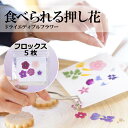 食べられる押し花【フロックス おまかせ5枚 】少量パック ドライエディブルフラワー 乾燥食用花 デコレーション トッピング 製菓材料 ケーキ スイーツ アイシン...
