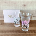 【7月全品P10倍!当店バナーからエントリー】冷感桜 グラス展開ペアセットガラス かわいい おしゃれ 桜 ギフト プレゼント 温度 変化 酒 日本酒