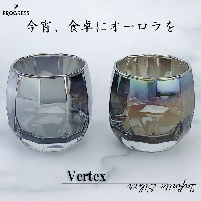 Vertex タンブラーグラス 340ml ( Infinite ／ Silver )【宇宙開発技術×職人の手仕事】PROGRESS チタングラス 伝統工芸 グラス チタン 日本伝統工芸 オーロラ プレゼント ギフト 美しい 綺麗 おしゃれ 癒やし インスタ映え お酒 飲み物 コップ 結婚祝い 恋人 クリスマス