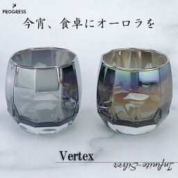 プログレス グラス Vertex タンブラーグラス 340ml ( Infinite ／ Silver )【宇宙開発技術×職人の手仕事】PROGRESS チタングラス 伝統工芸 グラス チタン 日本伝統工芸 オーロラ プレゼント ギフト 美しい 綺麗 おしゃれ 癒やし インスタ映え お酒 飲み物 コップ 結婚祝い 恋人 クリスマス