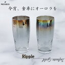 Ripple ビアグラス 360ml ( Infinite ／ Gold )【宇宙開発技術×職人の手仕事】PROGRESS チタングラス 伝統工芸 グラス チタン 日本伝統工芸 オーロラ プレゼント ギフト 美しい 綺麗 おしゃれ 癒やし インスタ映え お酒 飲み物 コップ 結婚祝い 恋人 クリスマス