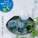 冷酒セット 冷酒器 (冷酒カラフェ 1個・杯 2個)【東洋佐々木ガラス】 G604-M70 父の日 母の日 敬老の日 誕生日プレゼント 冷酒器セット 酒器セット...