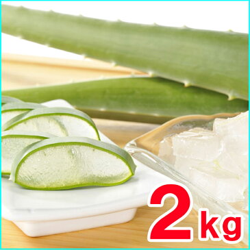 【食用アロエ】出雲産アロエベラ生葉 2kg〜2,5kg(2〜3枚)