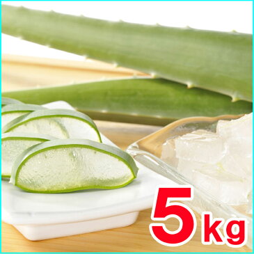 【食用アロエ】出雲産アロエベラ生葉 約5kg (4枚〜5枚)