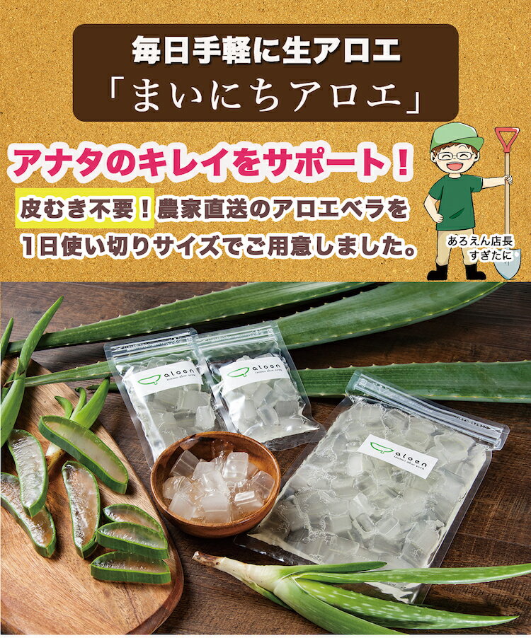 「まいにちアロエ」500g×1パック【お徳用】【食用アロエ】出雲産アロエベラ（冷蔵カットアロエ） 1