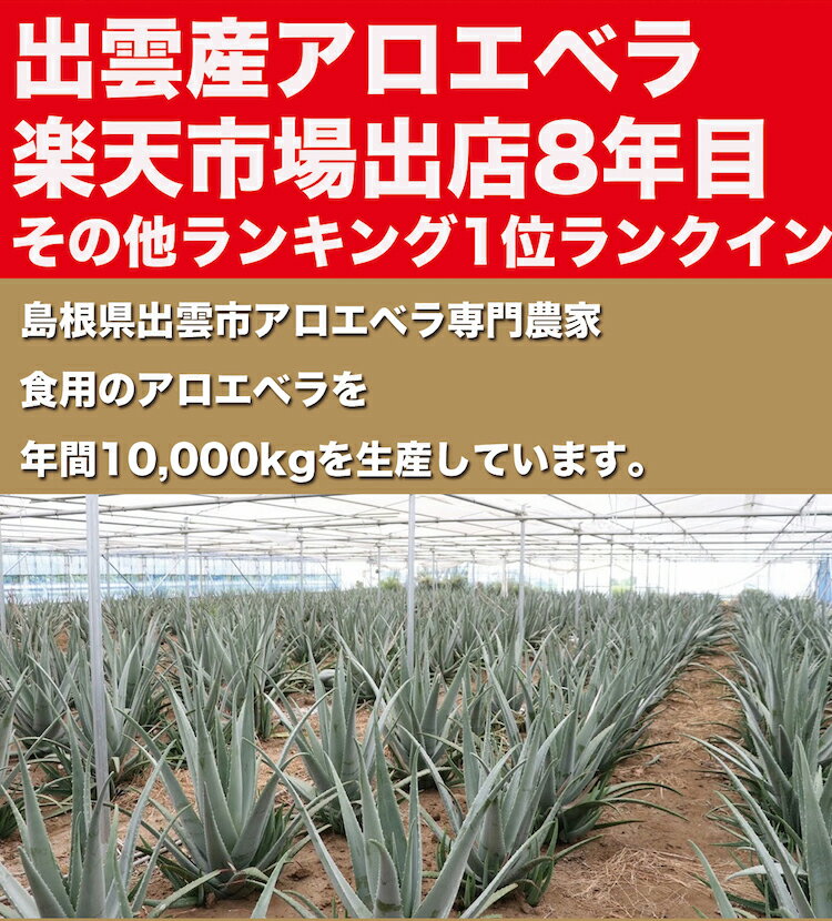 【お徳用】【食用アロエ】出雲産アロエベラ「まいにちアロエ」500g×10パック（冷蔵カットアロエ）