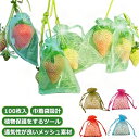 果樹用防鳥ネット 果物保護バッグ 果物袋 果物保護ネット 保護ネット 100枚入 栽培用 オーガンジー生地 桃 果実袋 ネット 鳩よけネット イチゴ 通気性 イ...