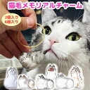 猫毛入れ 猫毛収納キーホルダー 猫の毛 2個 6個 猫毛チャーム アクセサリー 毛玉容器 猫 毛玉入れ けだま ボトル 可愛い ペットグッズ 記念 思い出 ギフ...