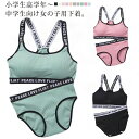 【楽天スーパーセール】 ショーツ 英字ロゴ 無地 リブ キッズ レディース ジュニア下着セット 2点セット パッド付き 大人 女の子 パンツ 肌着 12才〜14...