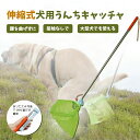 【楽天スーパーセール】犬用トイレ 容器 フンキャッチャー うんちキャッチャー アウトドア 犬 散歩 簡単洗浄 自然乾燥 ペット用品 環境に優しい 消耗品 水洗浄 トイレトレーニング ペット健康 安全な素材 コンパクトデザイン 抗菌効果 多機能 通気性